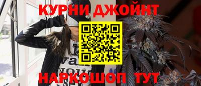 скорость Кингисепп