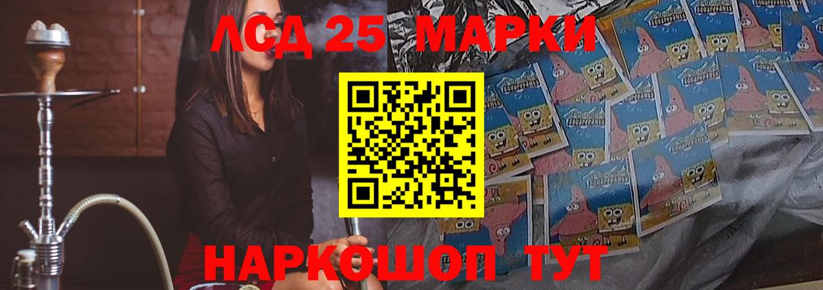 Псилоцибиновые грибы Кингисепп
