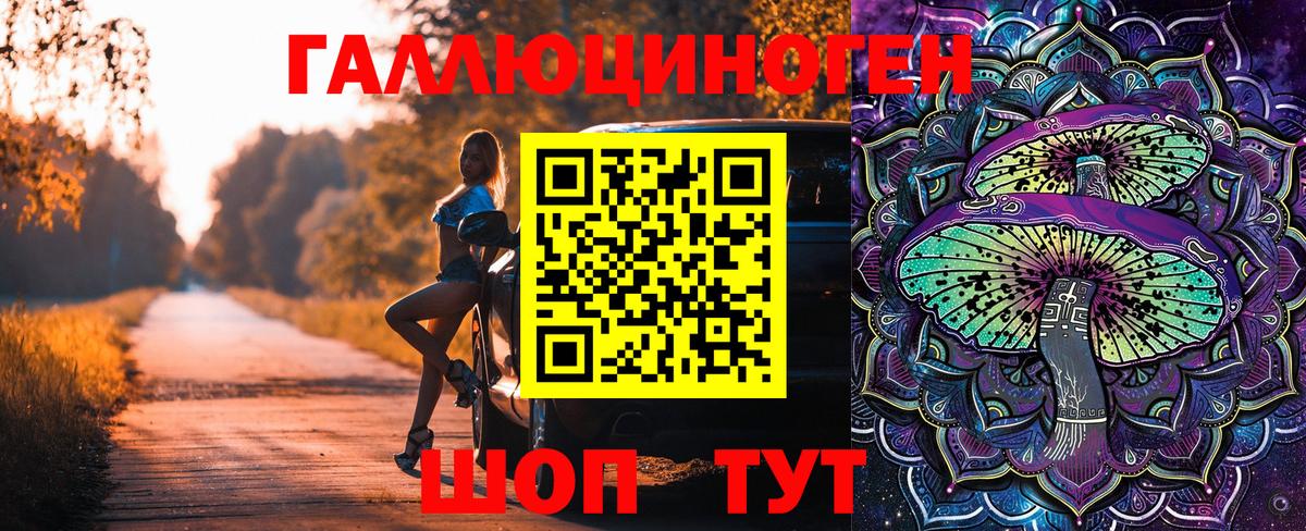 Кингисепп  Галлюциногенные грибы ЛСД  Вход с VPN 